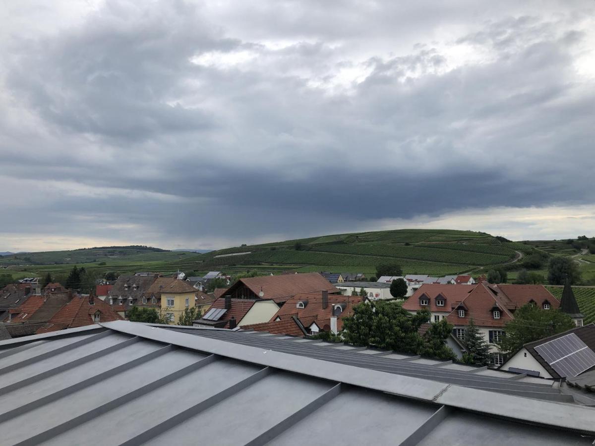 Ferienhaus Irene Vogtsburg Esterno foto