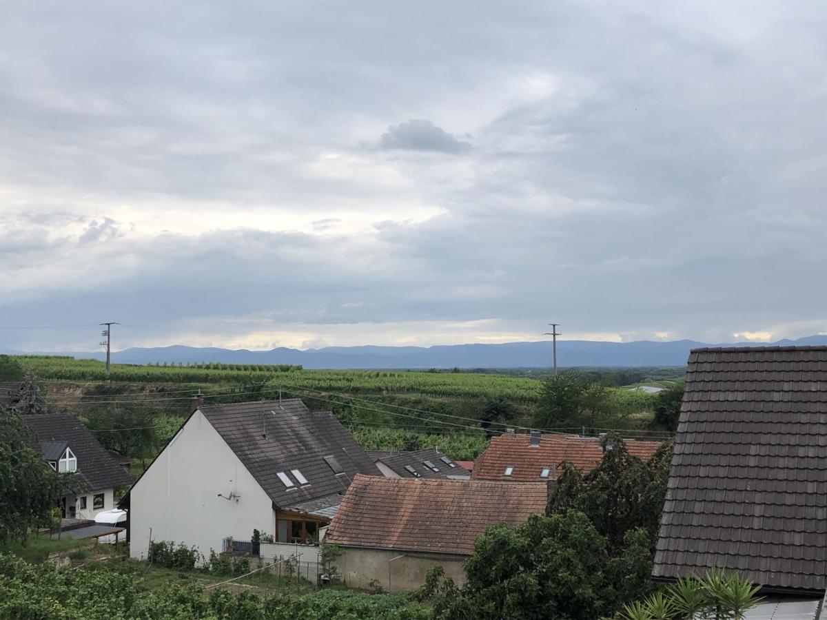 Ferienhaus Irene Vogtsburg Esterno foto